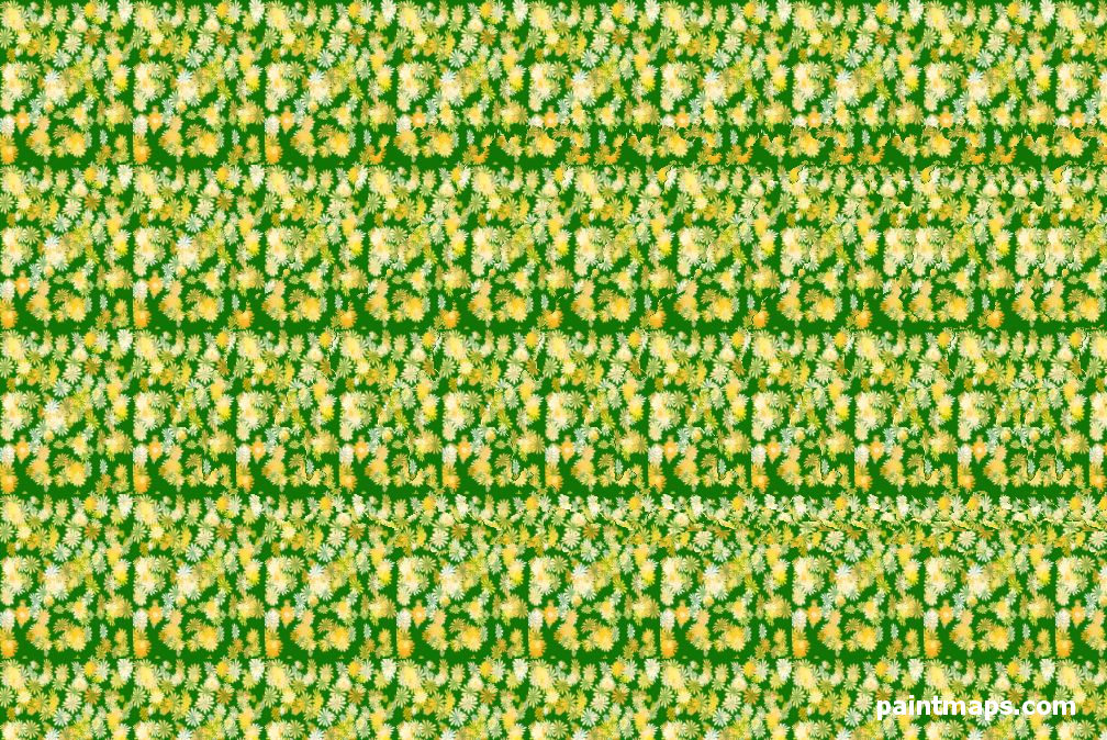 BUTAN Haritası - 3D Stereogram (Şaşı Bak Şaşır)