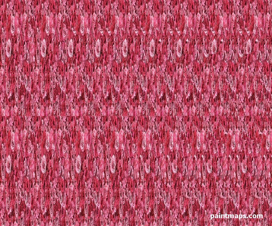 BOSNA-HERSEK Haritası - 3D Stereogram (Şaşı Bak Şaşır)