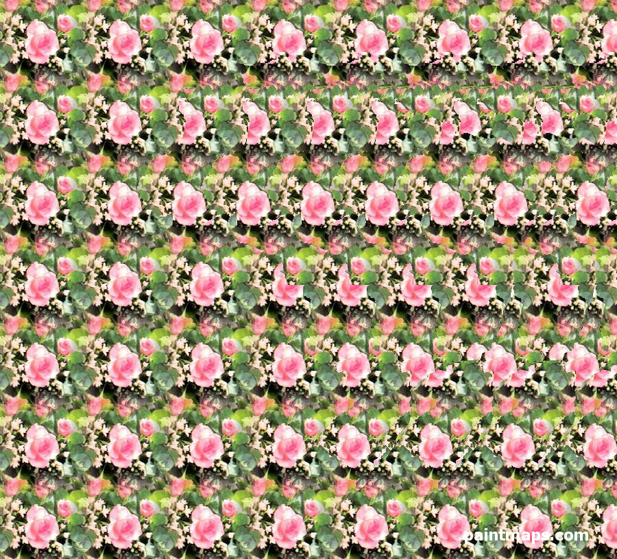 BRAZIL Peta dalam Stereogram 3D (Mata Ajaib)