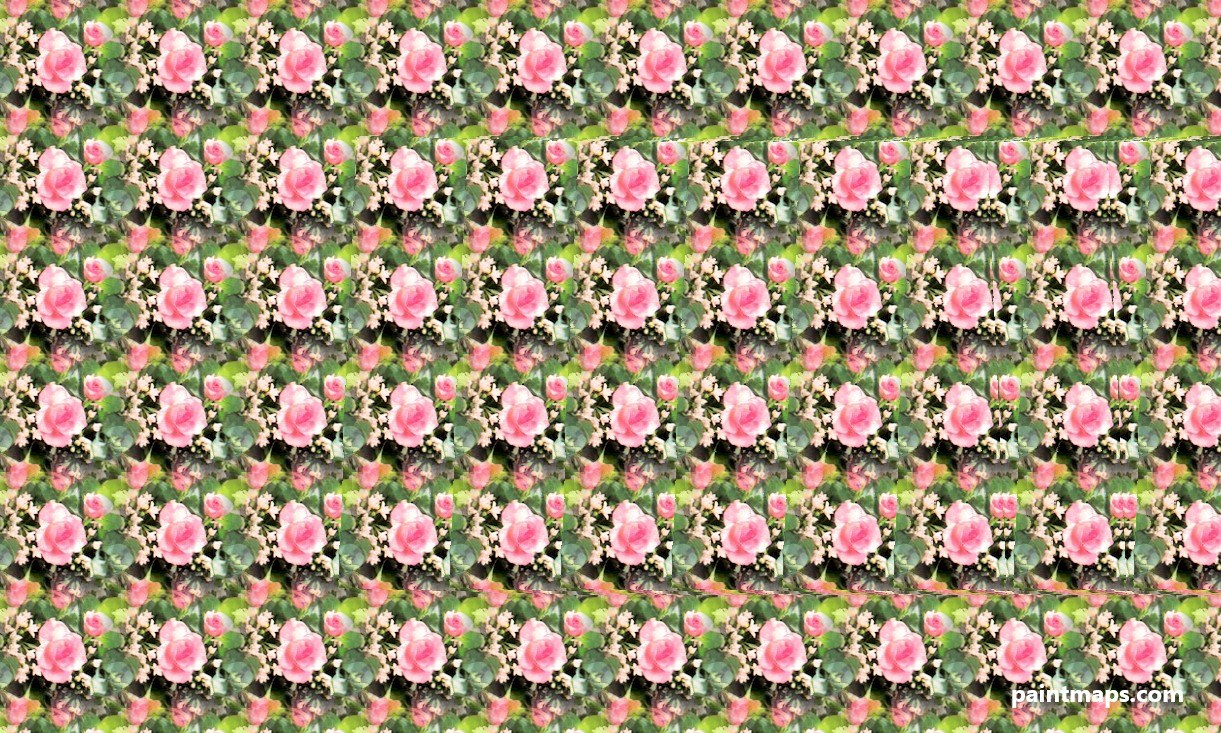 Kolorado Haritası - 3D Stereogram (Şaşı Bak Şaşır)