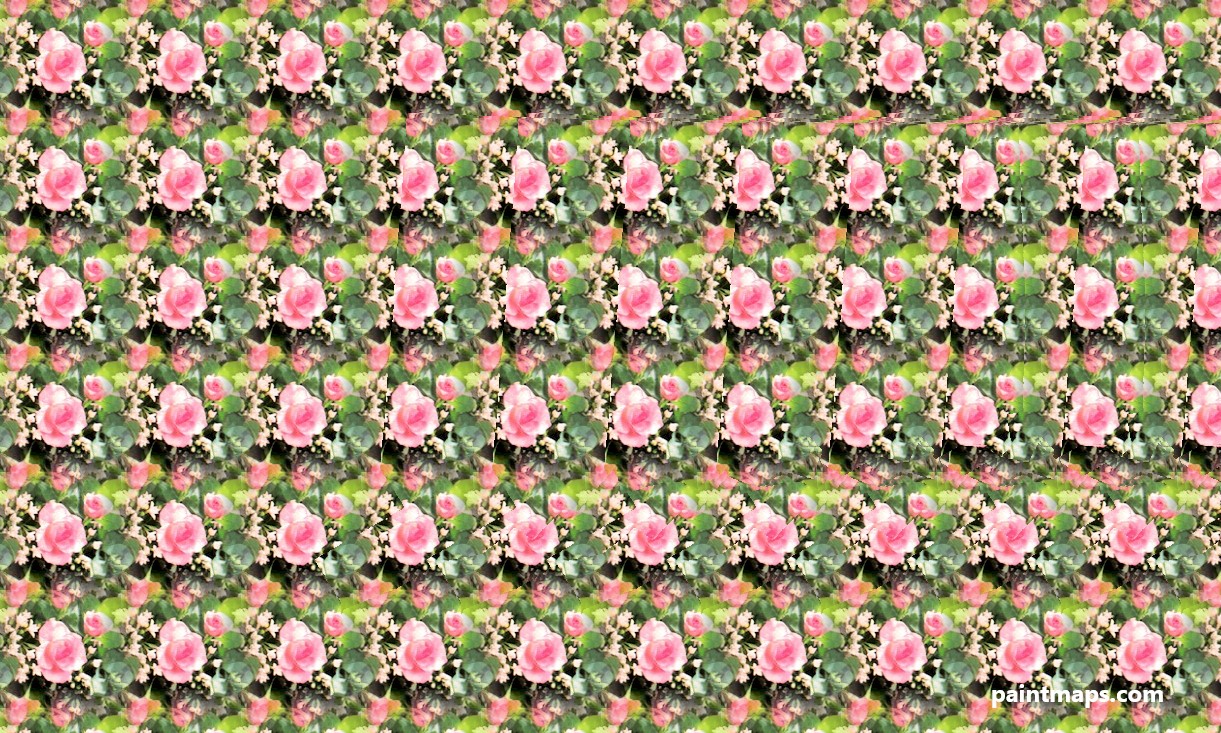 Connecticut Haritası - 3D Stereogram (Şaşı Bak Şaşır)
