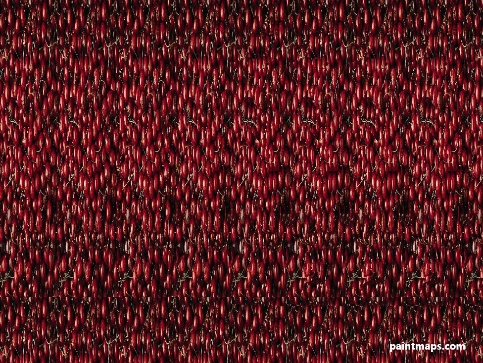 Delaware Haritası - 3D Stereogram (Şaşı Bak Şaşır)