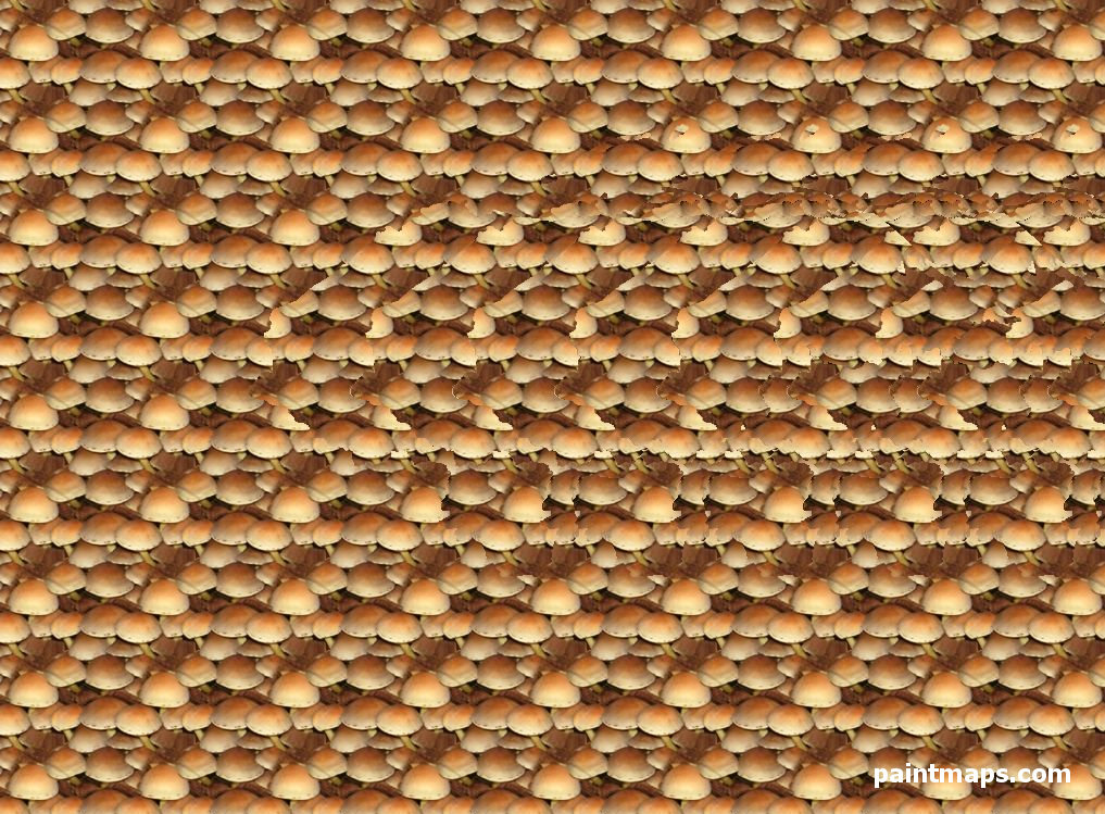 HONDURAS Haritası - 3D Stereogram (Şaşı Bak Şaşır)