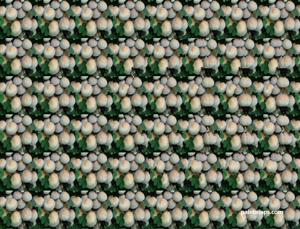 Illinois Haritası - 3D Stereogram (Şaşı Bak Şaşır)