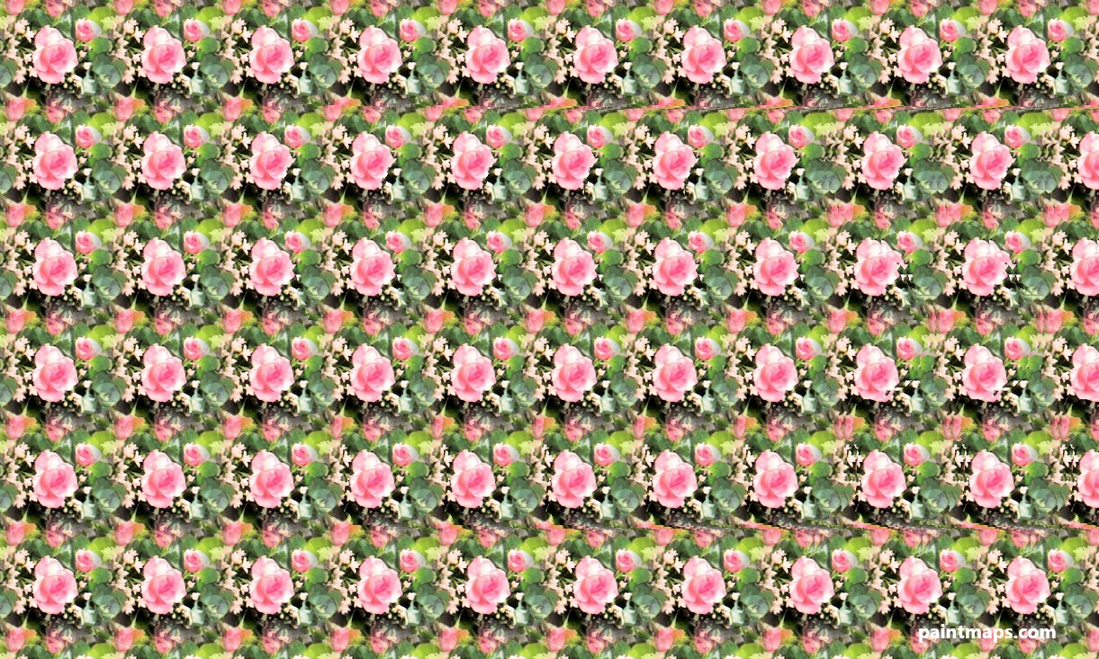Iowa Haritası - 3D Stereogram (Şaşı Bak Şaşır)