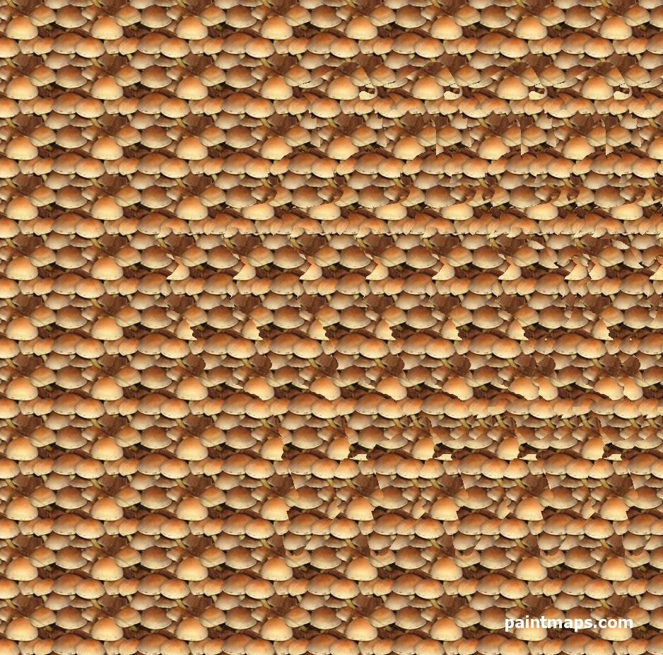 KOSOVA Haritası - 3D Stereogram (Şaşı Bak Şaşır)
