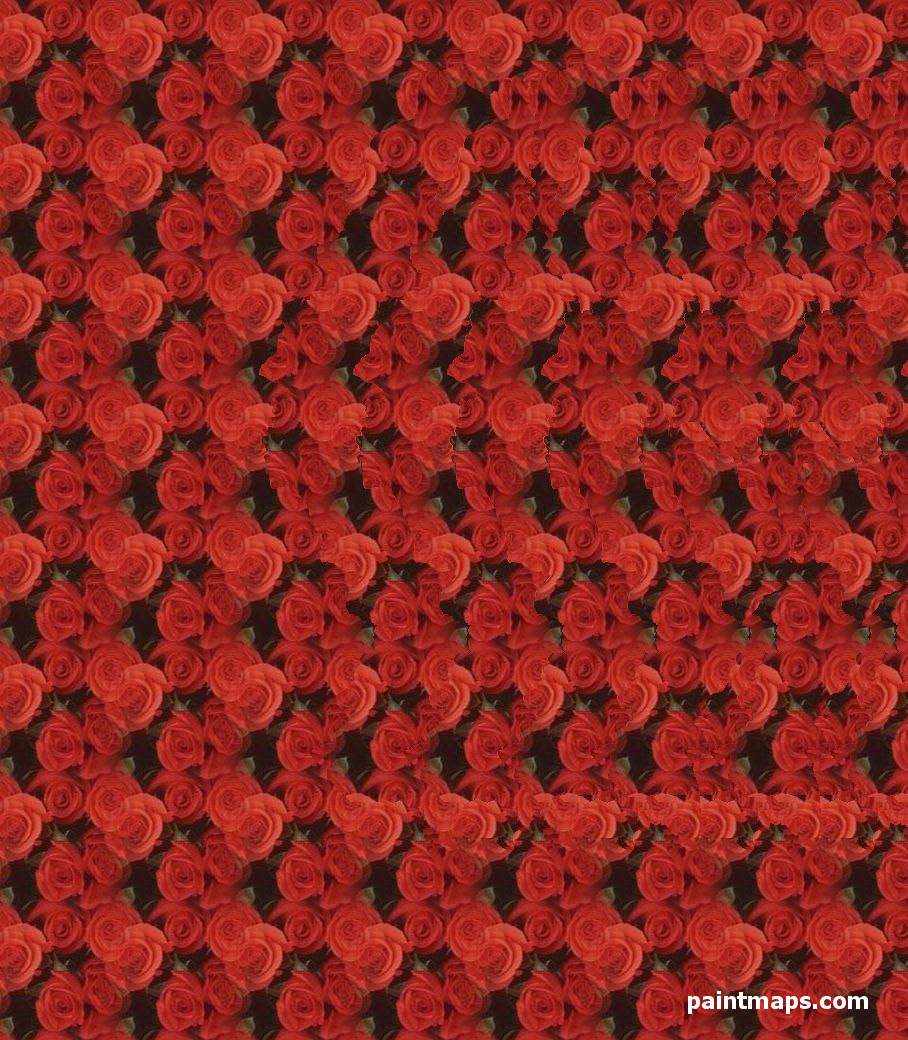 LUKSEMBURG Haritası - 3D Stereogram (Şaşı Bak Şaşır)