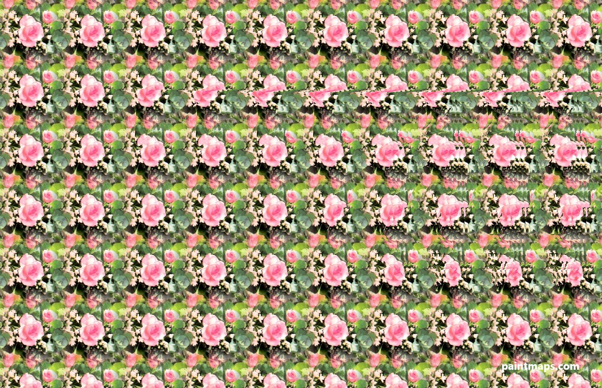 Maryland Haritası - 3D Stereogram (Şaşı Bak Şaşır)
