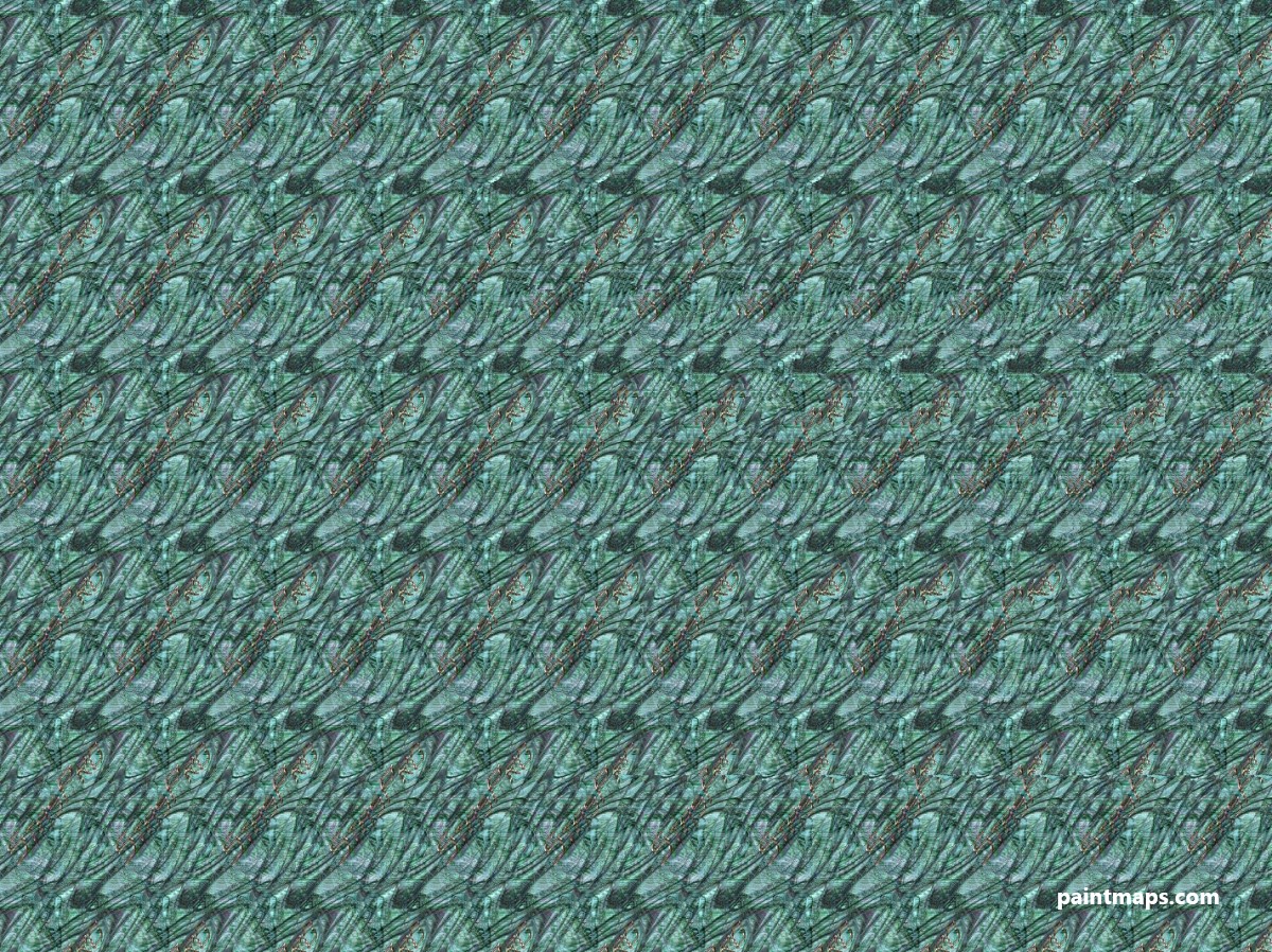 Michigan Haritası - 3D Stereogram (Şaşı Bak Şaşır)