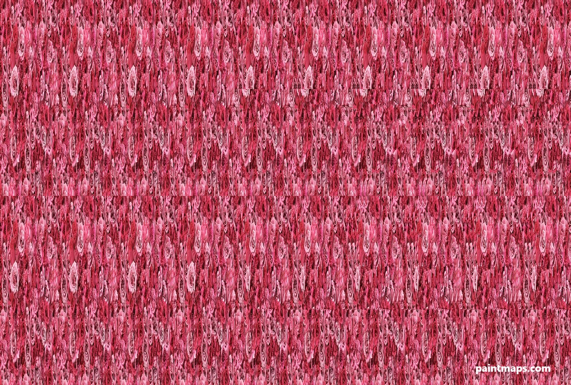 Minnesota Haritası - 3D Stereogram (Şaşı Bak Şaşır)