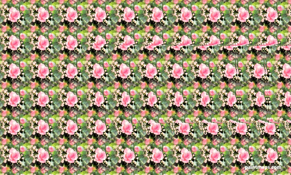 Montana Haritası - 3D Stereogram (Şaşı Bak Şaşır)