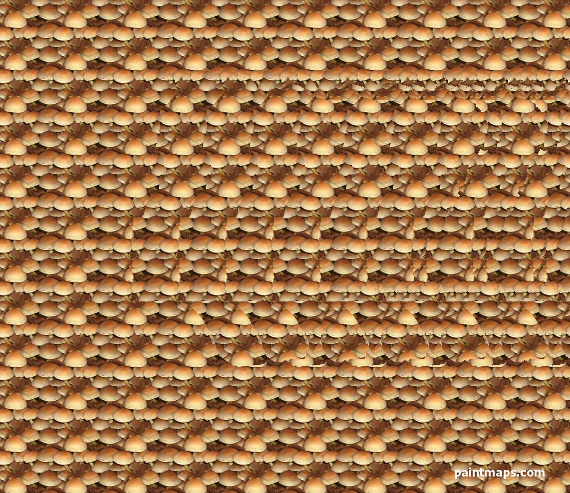 NIGERIA Peta dalam Stereogram 3D (Mata Ajaib)
