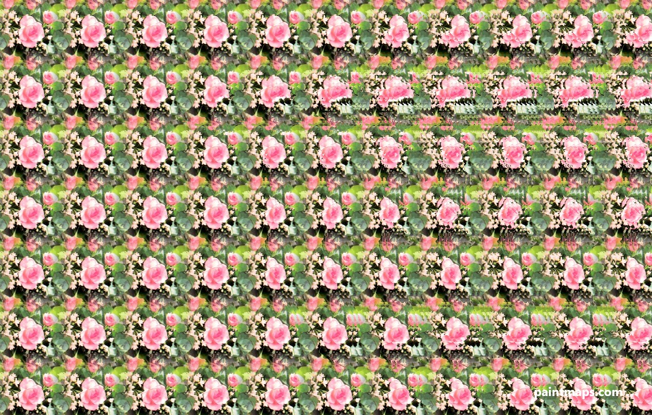 KUZEY-AMERIKA Haritası - 3D Stereogram (Şaşı Bak Şaşır)