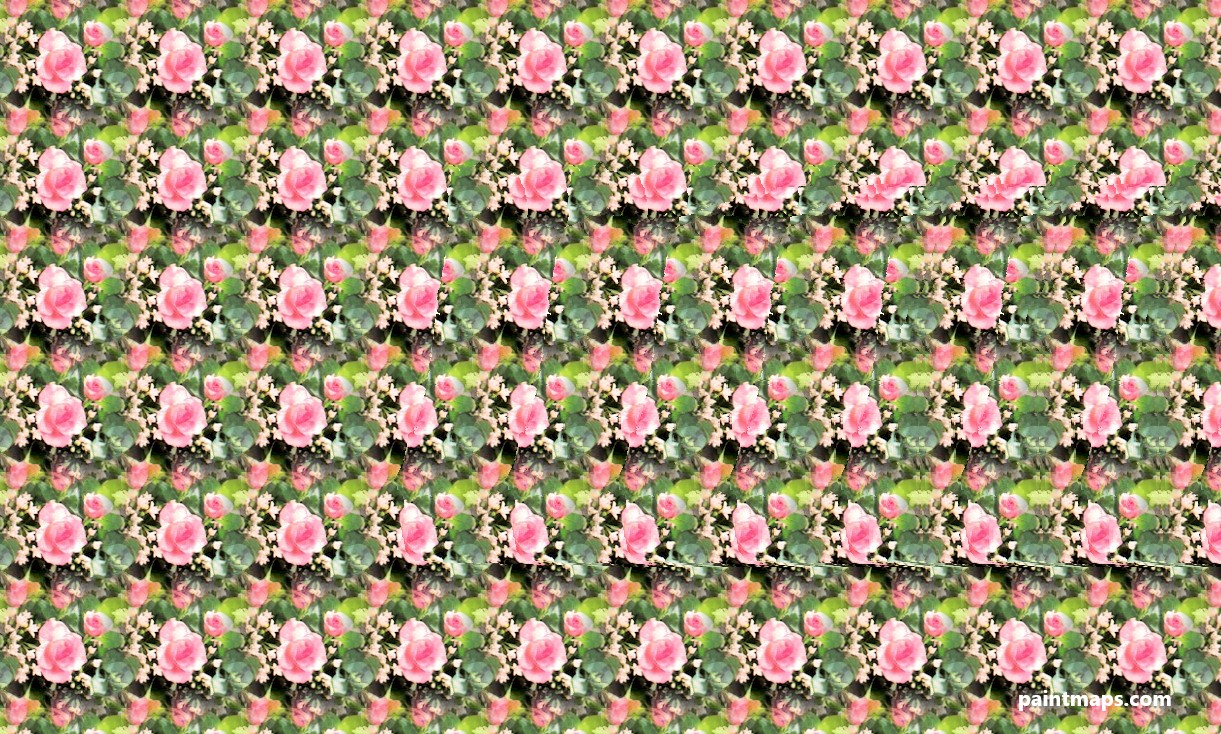 Oregon Haritası - 3D Stereogram (Şaşı Bak Şaşır)