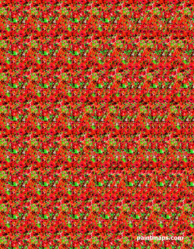 FILISTIN Haritası - 3D Stereogram (Şaşı Bak Şaşır)