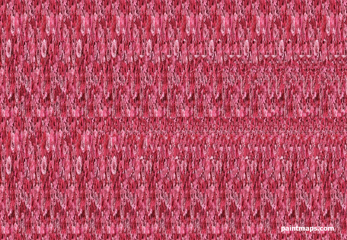 SINGAPUR Haritası - 3D Stereogram (Şaşı Bak Şaşır)