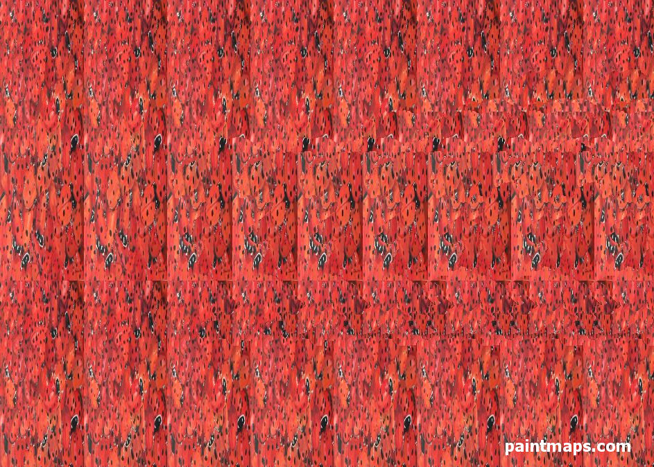 SLOVENYA Haritası - 3D Stereogram (Şaşı Bak Şaşır)