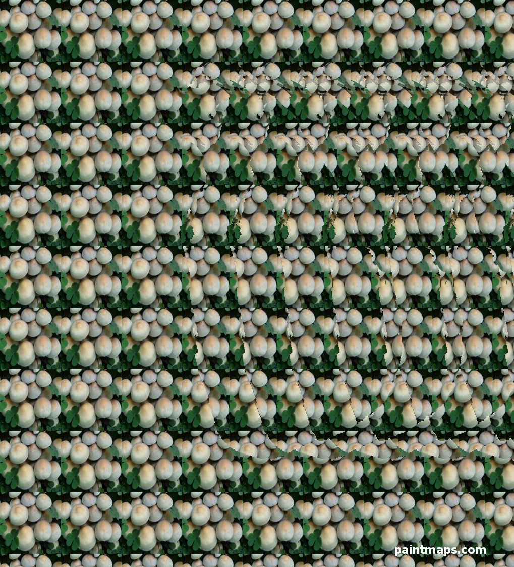 SRI-LANKA Haritası - 3D Stereogram (Şaşı Bak Şaşır)