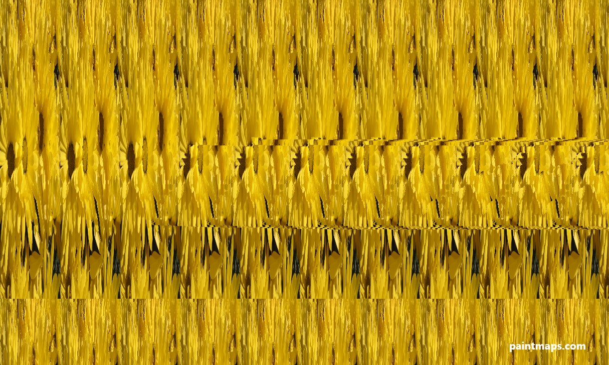 Tennessee Haritası - 3D Stereogram (Şaşı Bak Şaşır)