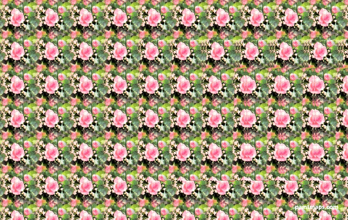 Utah Haritası - 3D Stereogram (Şaşı Bak Şaşır)
