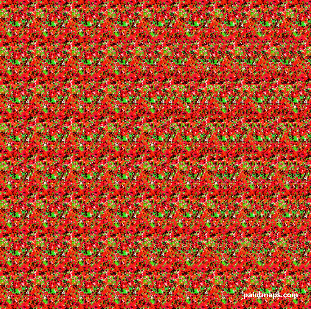 VIETNAM Haritası - 3D Stereogram (Şaşı Bak Şaşır)