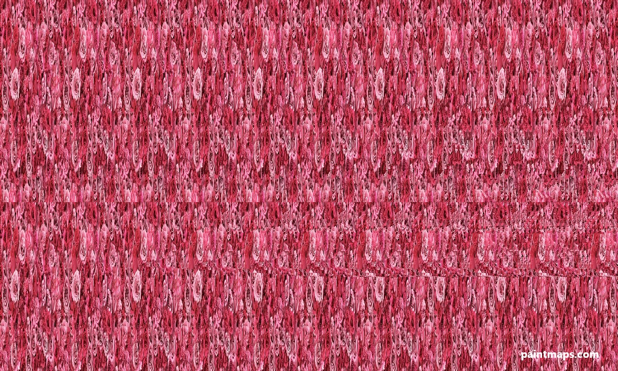 Virjinya Haritası - 3D Stereogram (Şaşı Bak Şaşır)