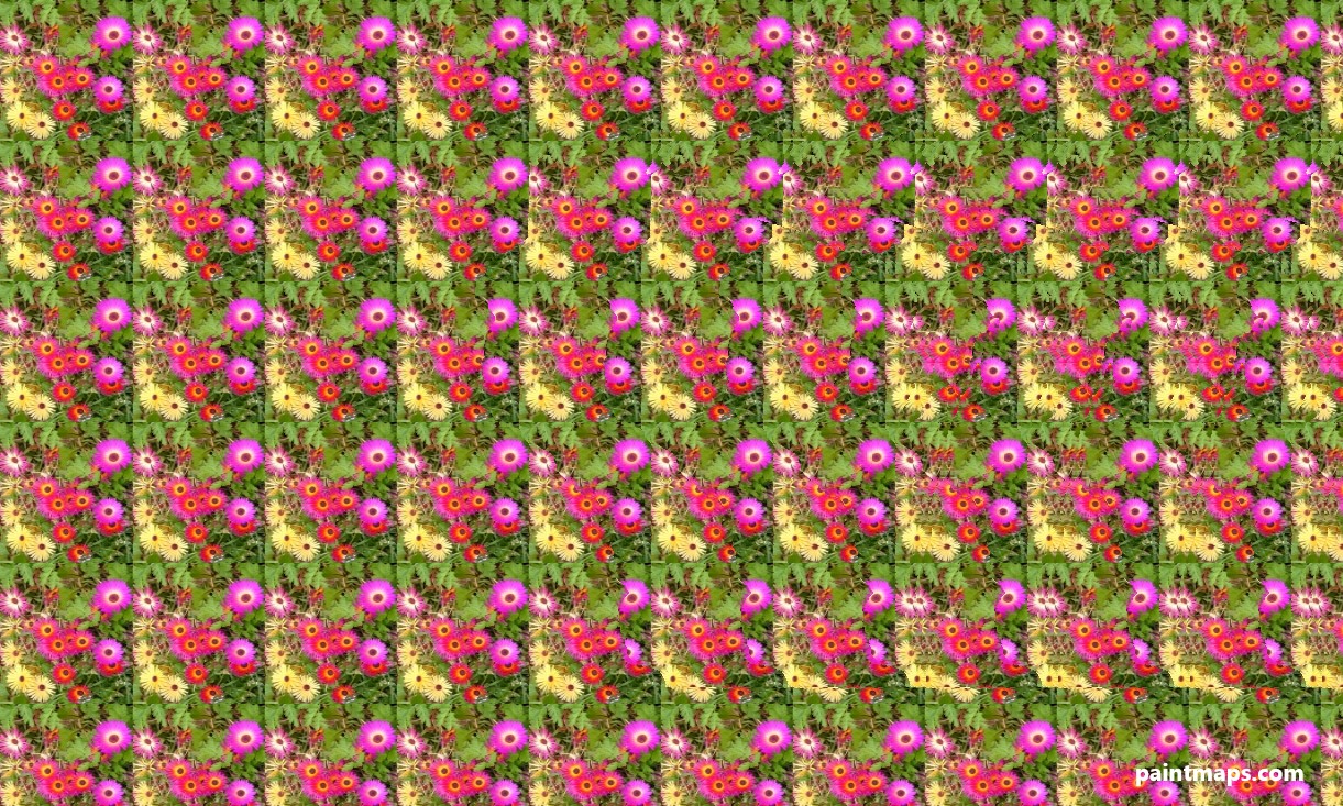 Wisconsin Haritası - 3D Stereogram (Şaşı Bak Şaşır)