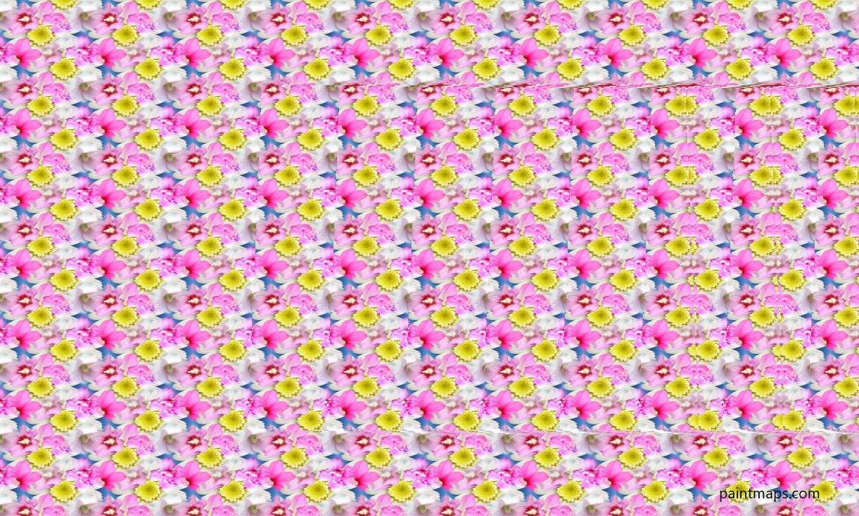 Wyoming Haritası - 3D Stereogram (Şaşı Bak Şaşır)