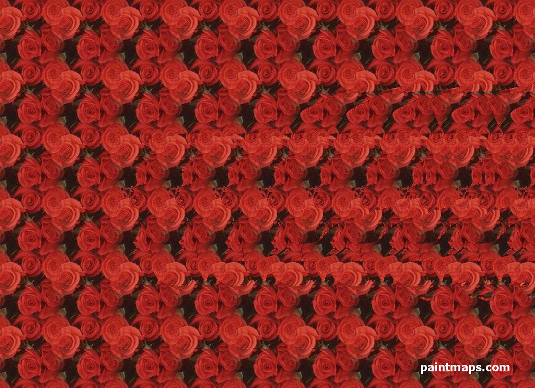 YEMEN Haritası - 3D Stereogram (Şaşı Bak Şaşır)